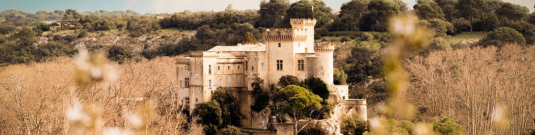 Le château de La Barben. Château de La Barben intérieur. Le château de La Barben à l'intérieur, accueille aujourd'hui les spectacles et parcours immersifs du Rocher Mistral.