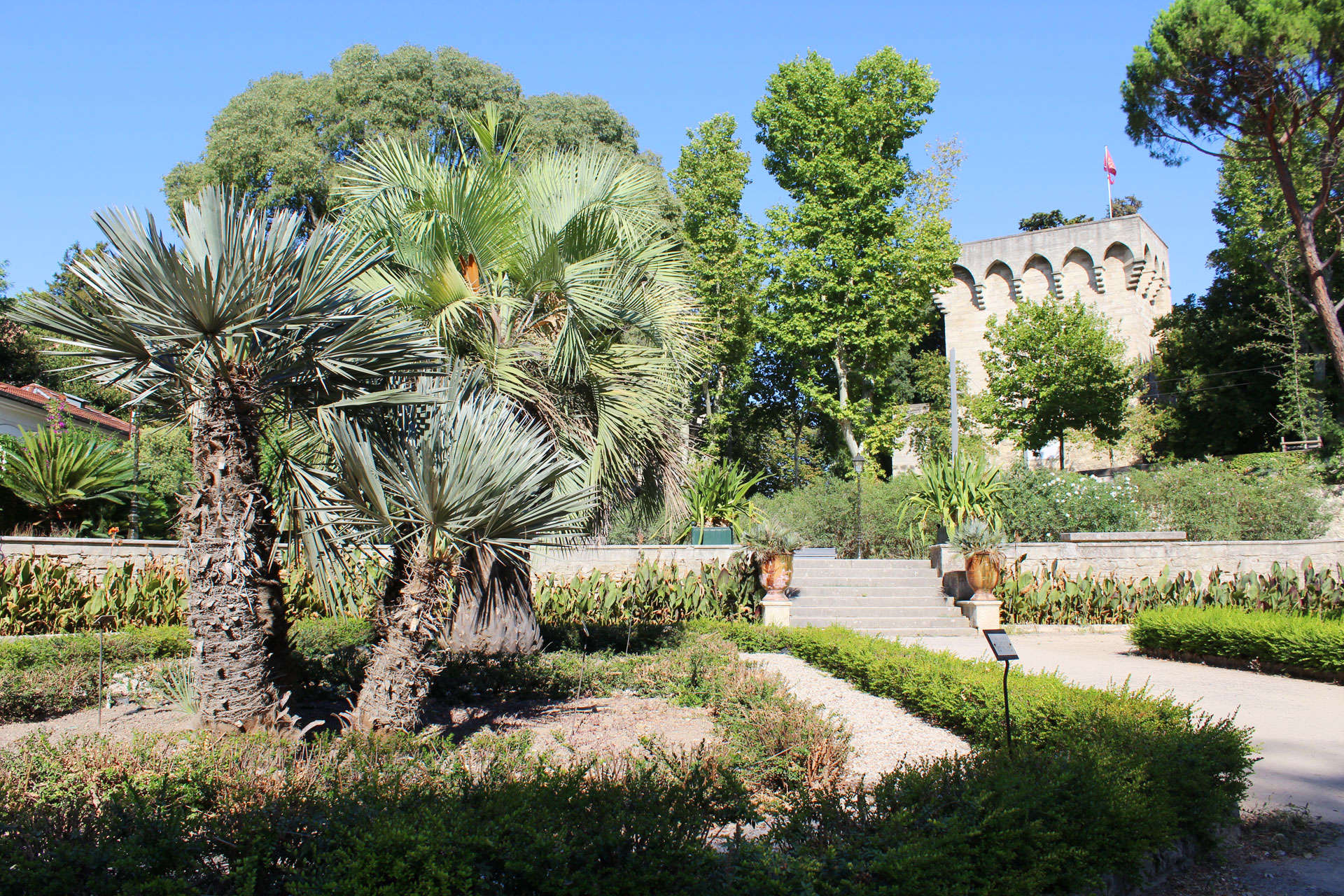 Jardin des plantes de Montpellier - Botanical garden
